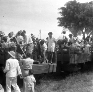 Chinees-Indische mensen in laadbakken van trucks, Bestanddeelnr 12900