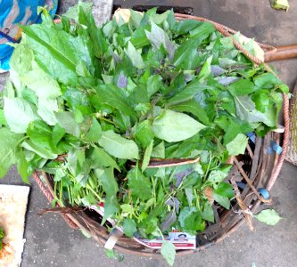 Chinese vegetable 035