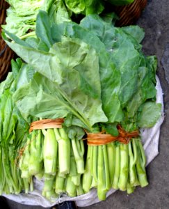 Chinese vegetable 032