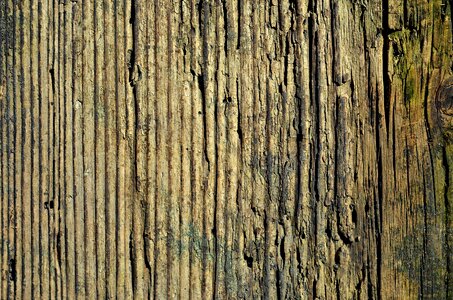 Wooden jars brown board photo