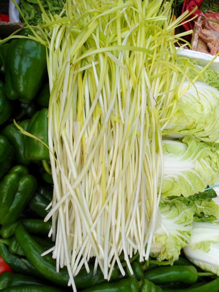 Chinese vegetable 016