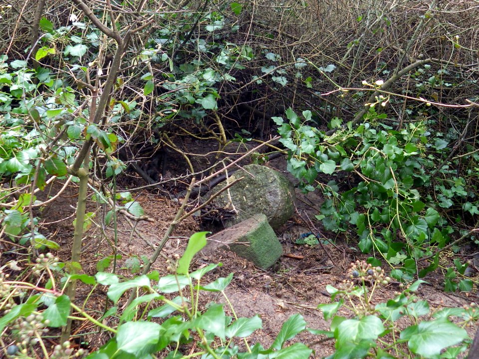 CHP and BB56 Boundary Stone, Combe Valley