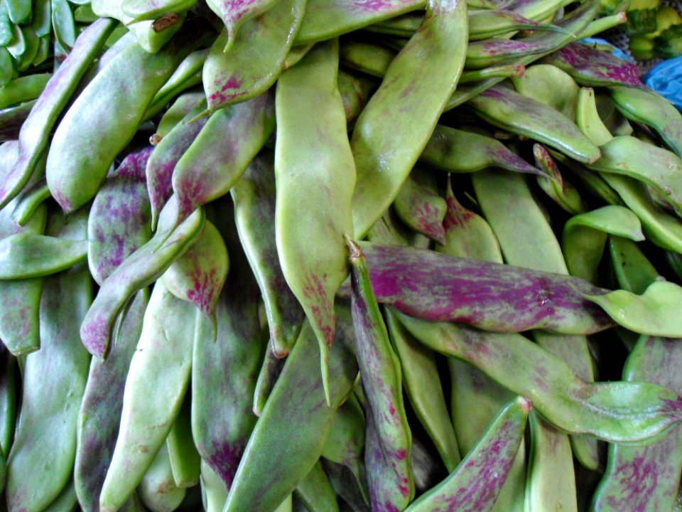 Chinese vegetable 025