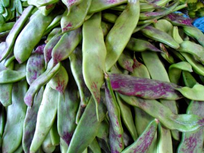 Chinese vegetable 025