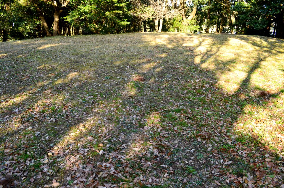 Choshizuka Kofun (Iwata), funcho