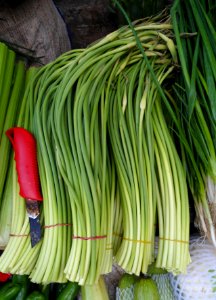 Chinese vegetable 017