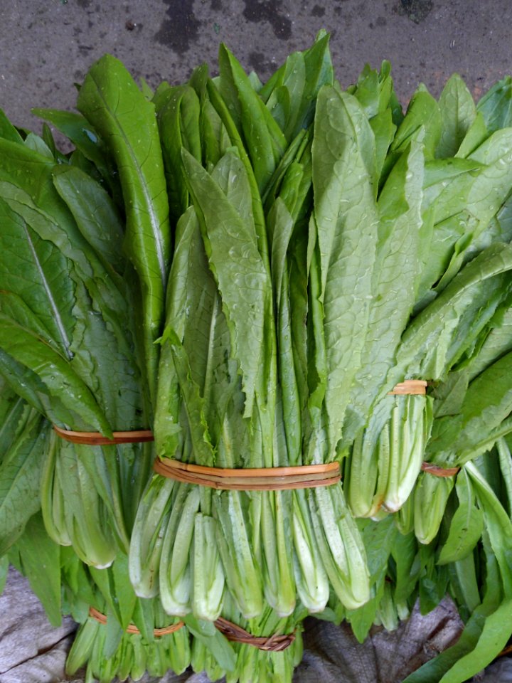 Chinese vegetable 010