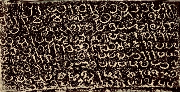 Chitaral Jain Monument Bhagawati temple inscription of Vikramaditya Varaguna