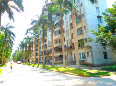 Chinese Academy of Tropical Agricultural Sciences (CATAS) - 03