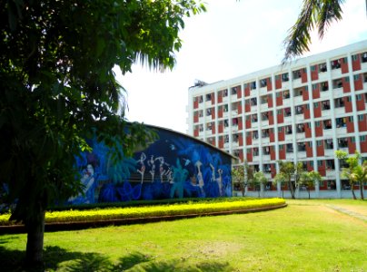 Chinese Academy of Tropical Agricultural Sciences (CATAS) - 08