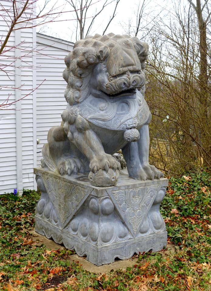 Chinese lion - Arlington, MA - DSC09588