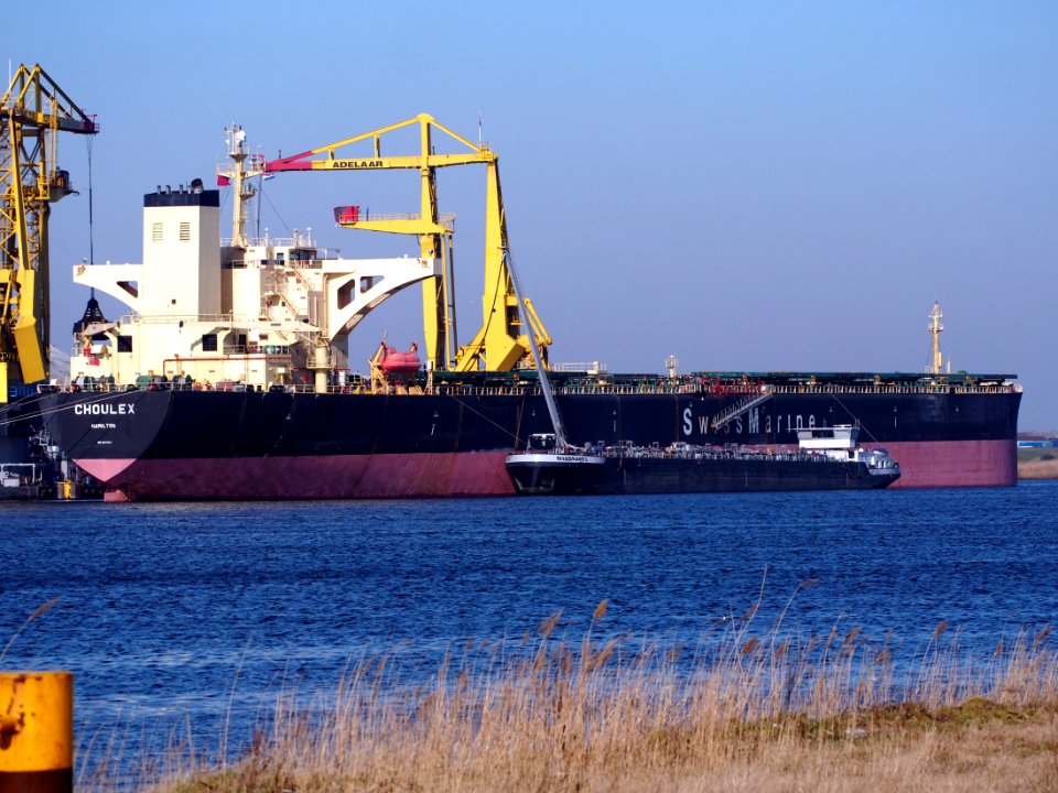 Choulex, IMO 9074511, Call Sign ZCEE3, Afrikahaven, Port of Amsterdam