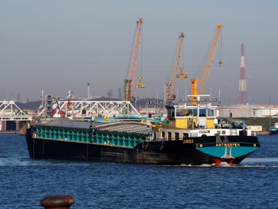 Chrida (ship, 1928) - ENI 06002786, Port of Antwerp pic2