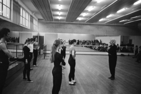 Choreografen, dansers, danseressen, Bestanddeelnr 924-4260