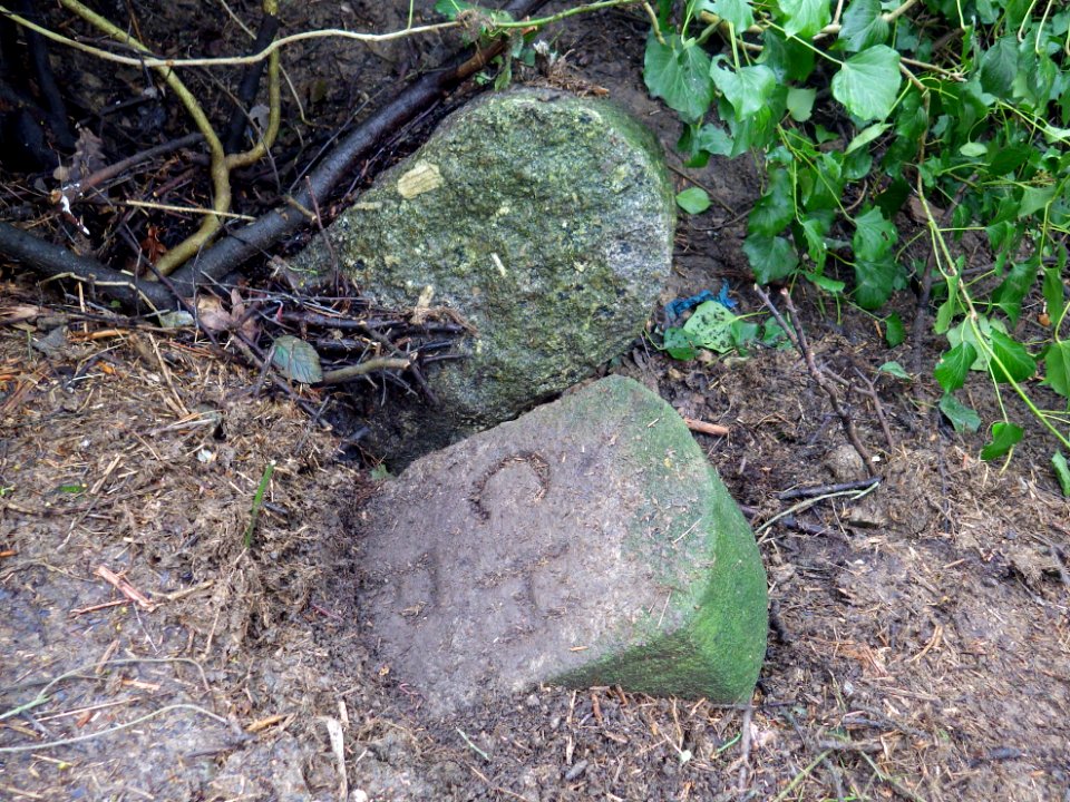 CHP Boundary Stone, Combe Valley