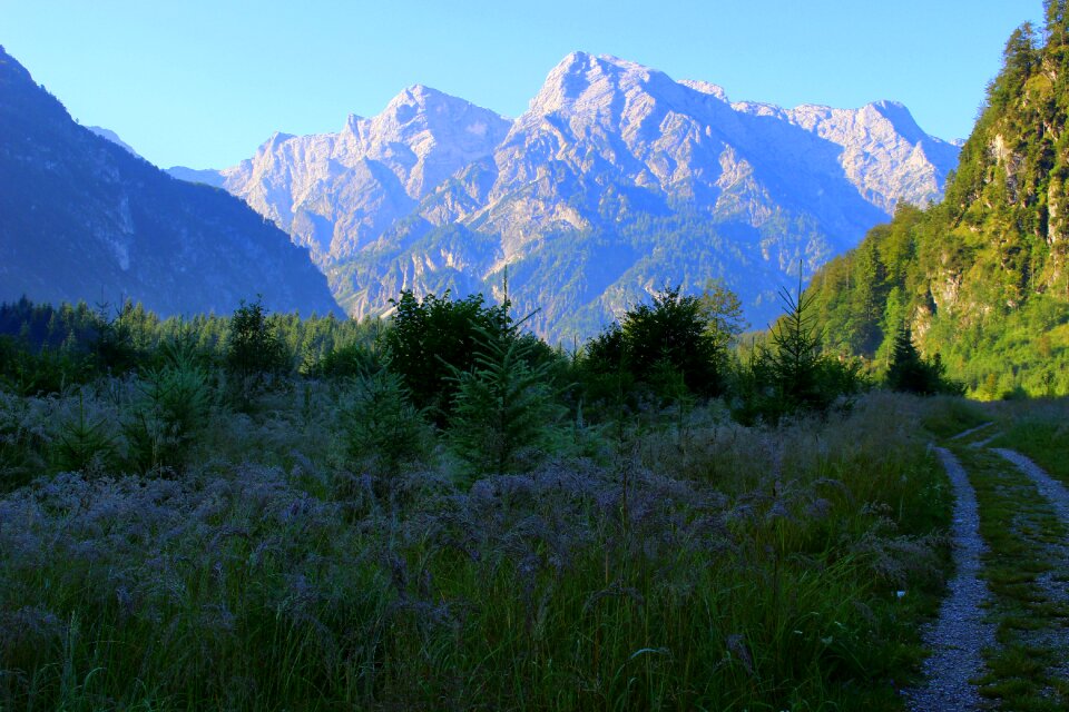Nature landscape trail
