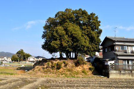 Choshimaru Kofun, funkyu