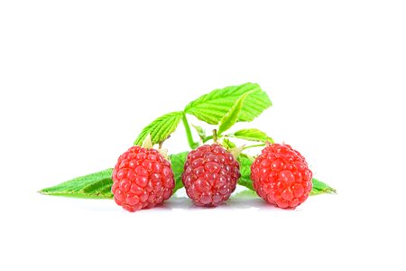Lean delicious recipes garden