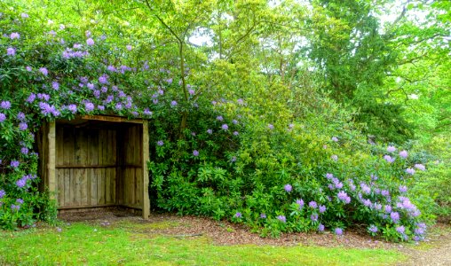 Chateau Mouton - Exbury Gardens - Exbury, England - DSC03849
