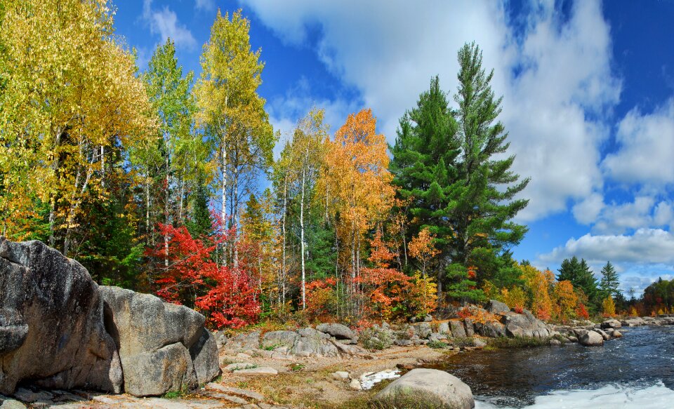 Colours canada orange photo