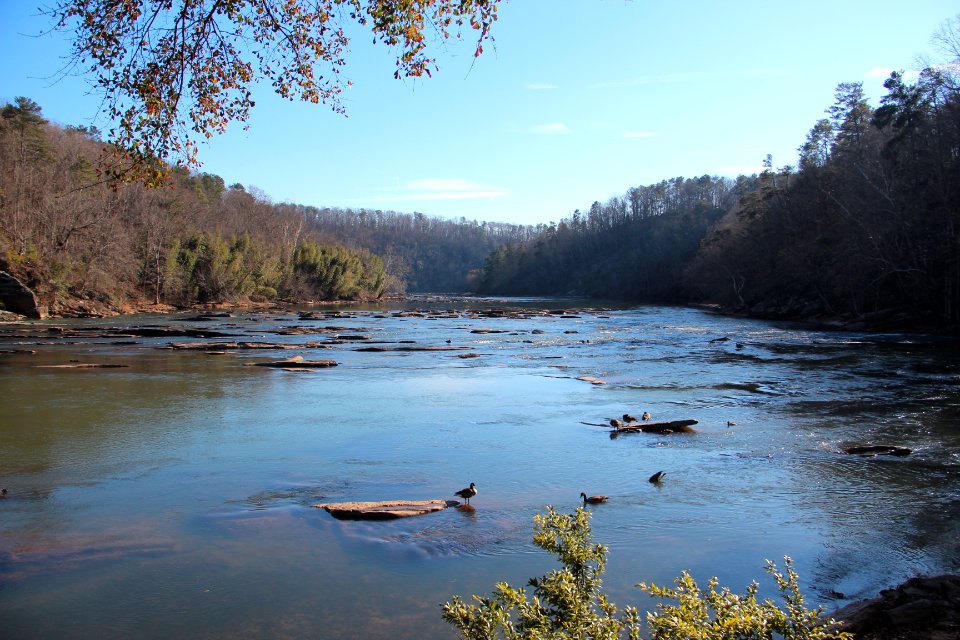 Chattahoochee River, Walton on the Chattahoochee, Cobb County, GA Jan 2018 2