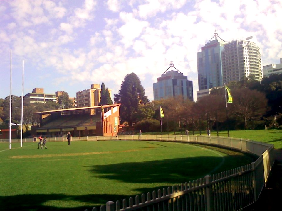 Chatswood Oval Sunday morning