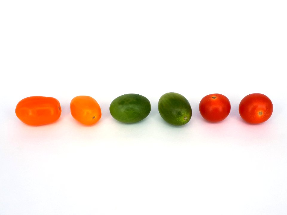 Cherry tomatoes - Bambelo - Dulcemiel - Nebula 2017 E3
