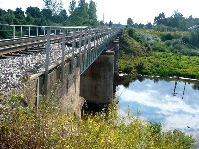 Cheryokha 2011-08-05 16-29-24
