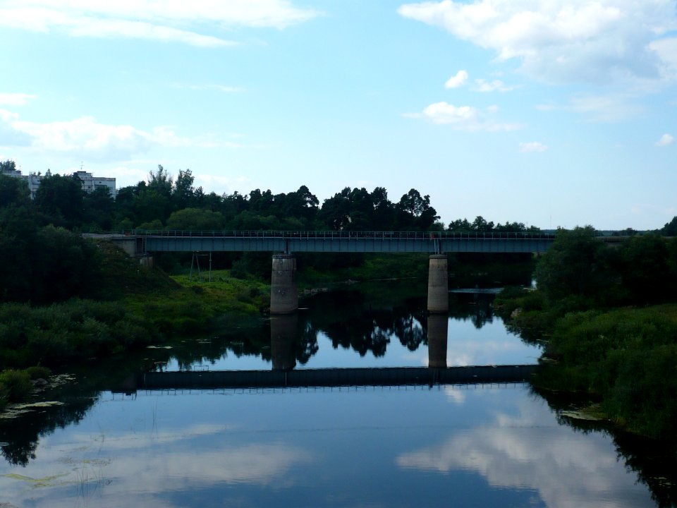 Cheryokha 2011-08-05 16-34