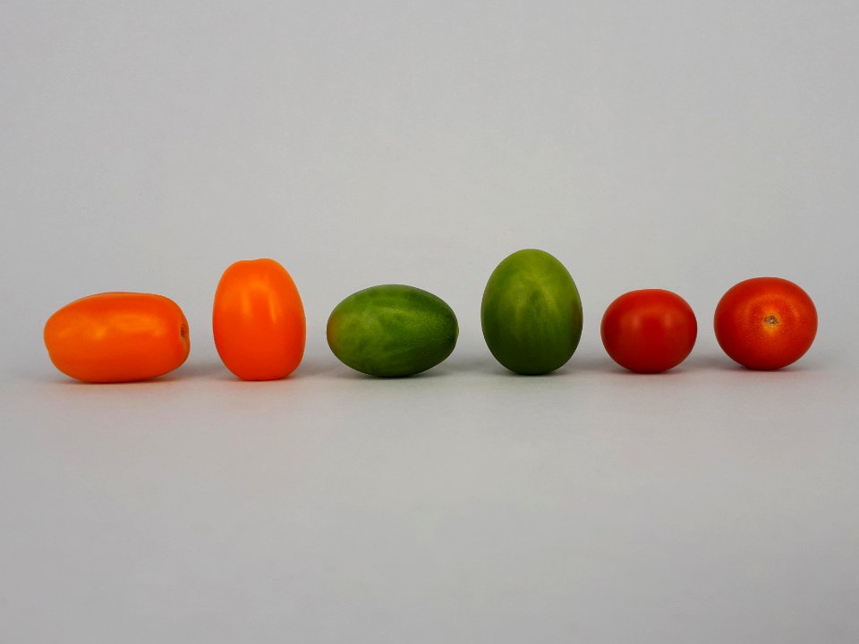Cherry tomatoes - Bambelo - Dulcemiel - Nebula 2017 E4