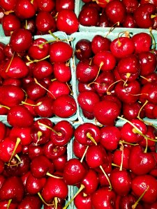 Cherries - Boston, MA