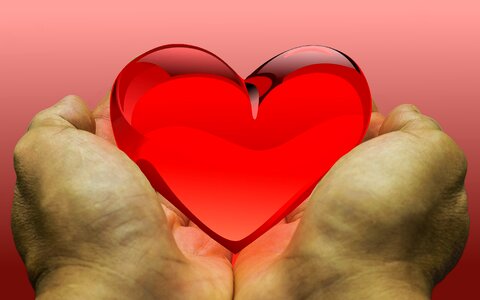 Donation donate gratitude