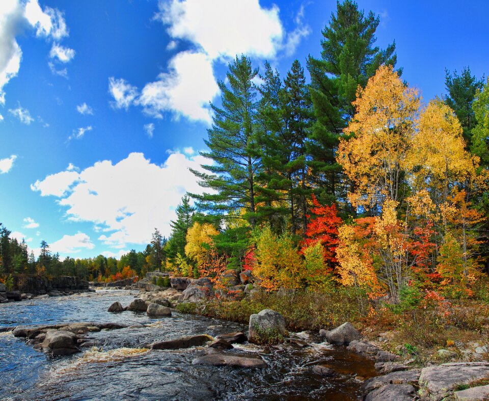 Colours canada orange