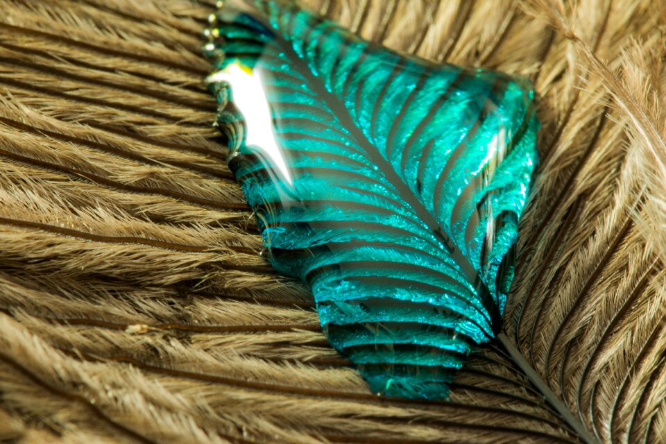 Close up macro background