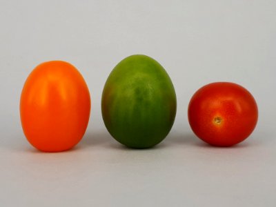 Cherry tomatoes - Bambelo - Dulcemiel - Nebula 2017 D2