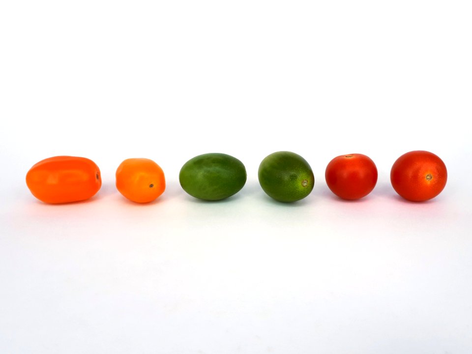 Cherry tomatoes - Bambelo - Dulcemiel - Nebula 2017 E2