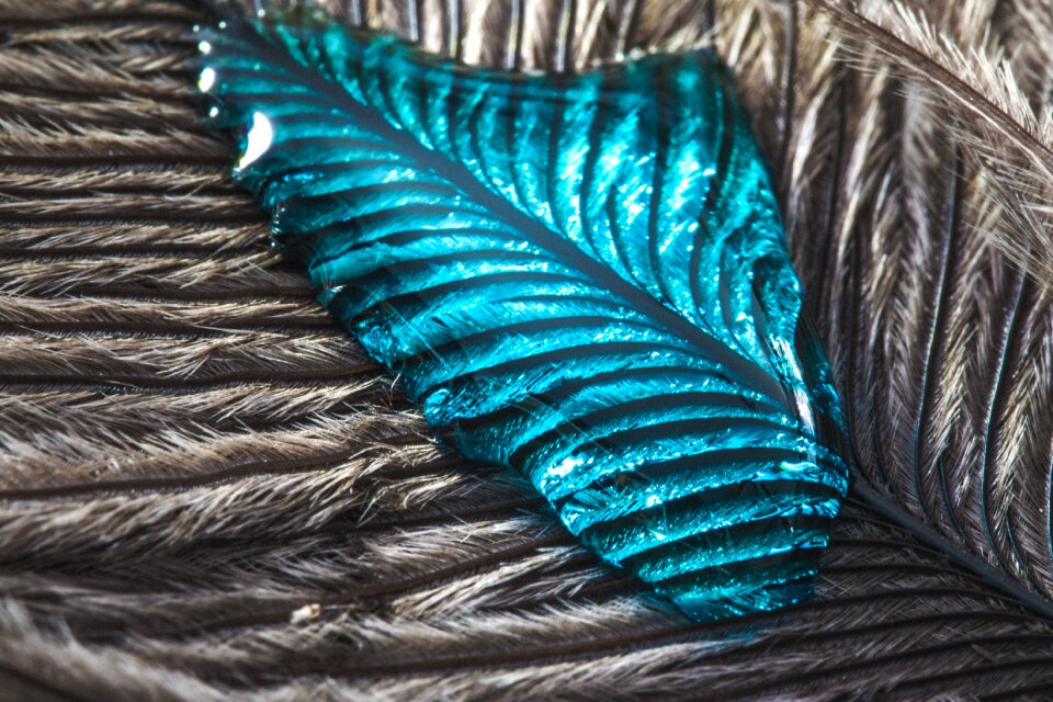Close up macro background