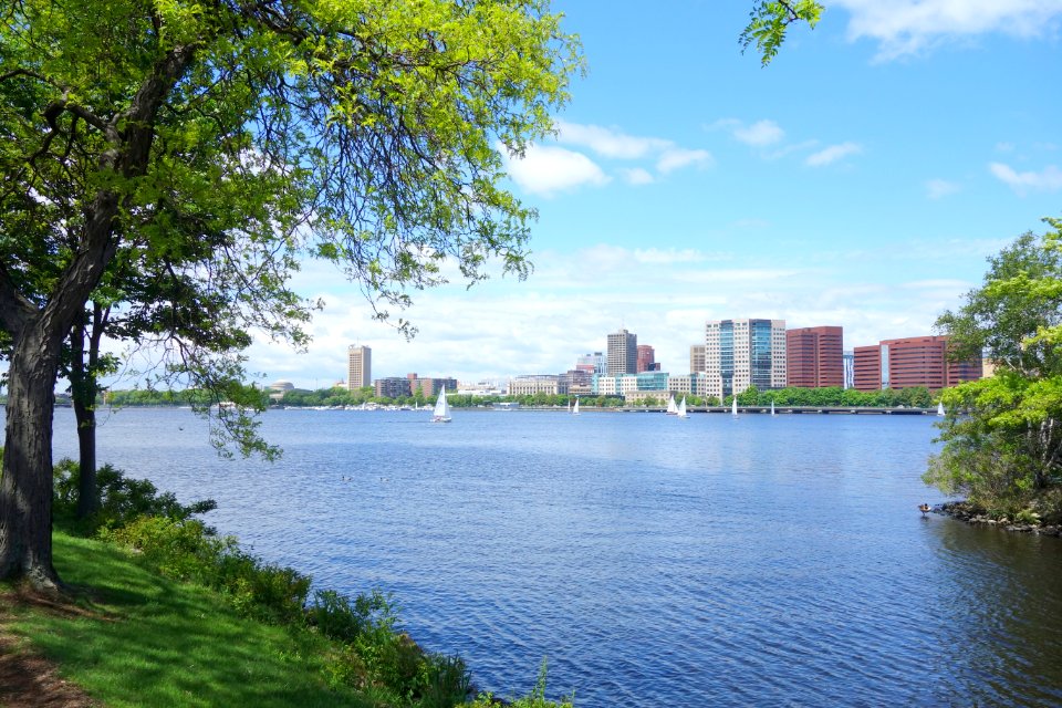 Charles River Basin from the Esplanade - Boston, MA - DSC02590