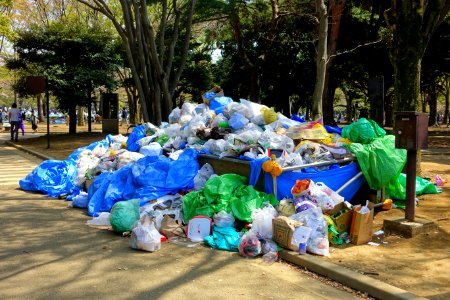 Cherry blossom festival 2018 - Yoyogi Park - Tokyo, Japan - DSC05567