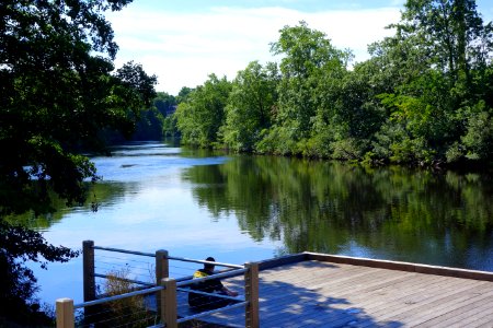Charles River - Watertown, MA - DSC03867