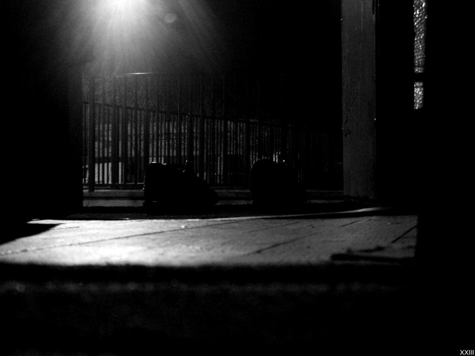 Chaussure Noir Et Blanc (64924839)