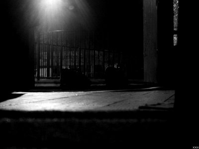 Chaussure Noir Et Blanc (64924839)