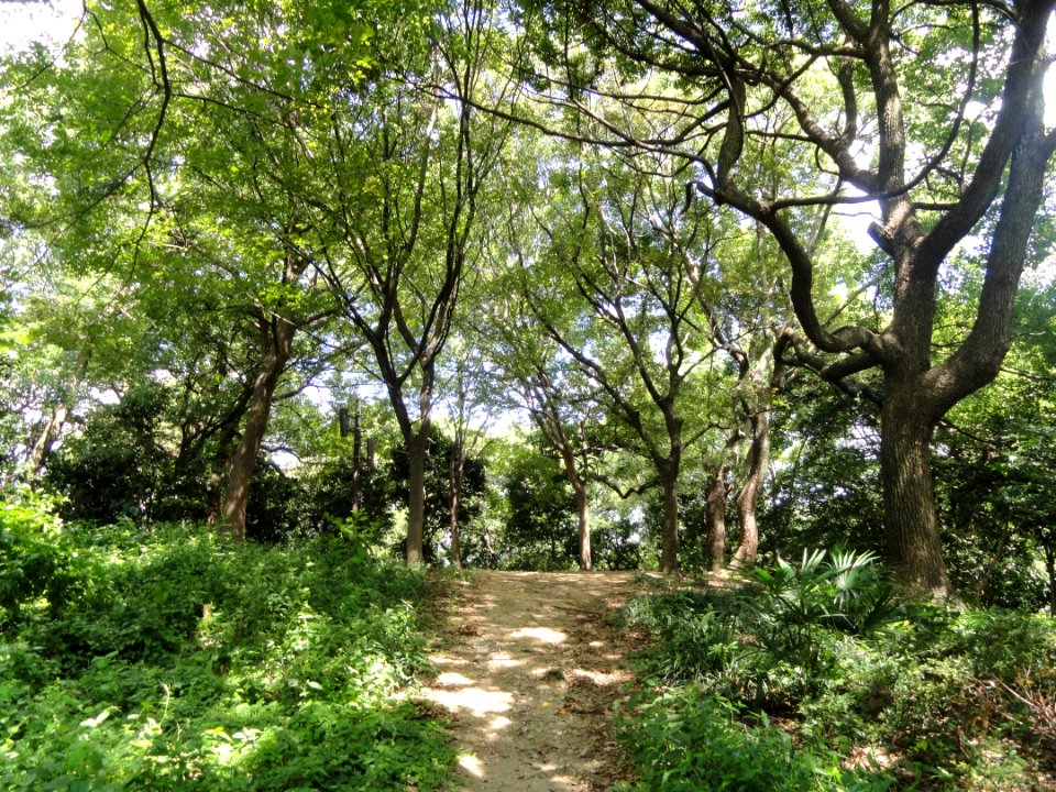 Chausuyama battlefield, May 1615, Osaka - DSC05812