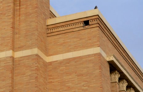 Charles Mix County courthouse SSW corner upper