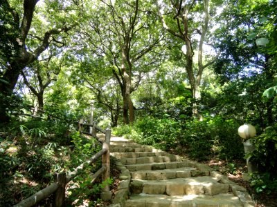 Chausuyama battlefield, May 1615, Osaka - DSC05810