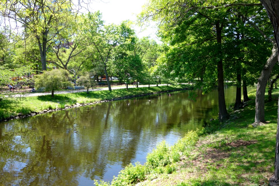 Charles River Esplanade - Boston, MA - DSC02604
