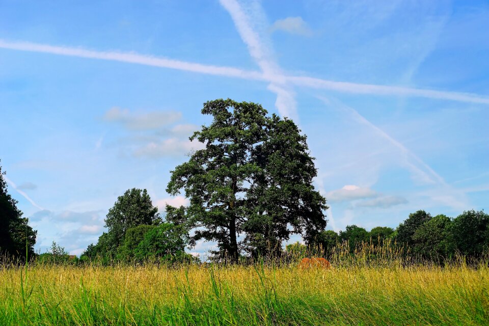 Background sky nature