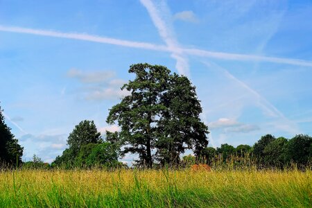 Background sky nature