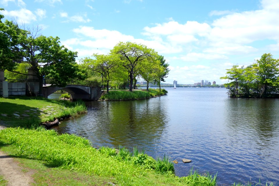 Charles River Basin from the Esplanade - Boston, MA - DSC02581