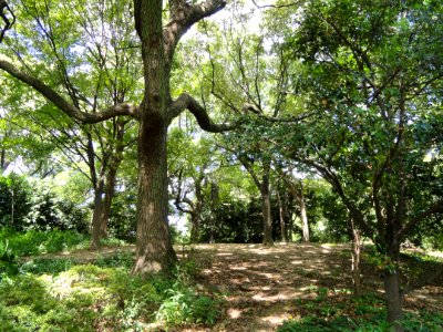 Chausuyama battlefield, May 1615, Osaka - DSC05811
